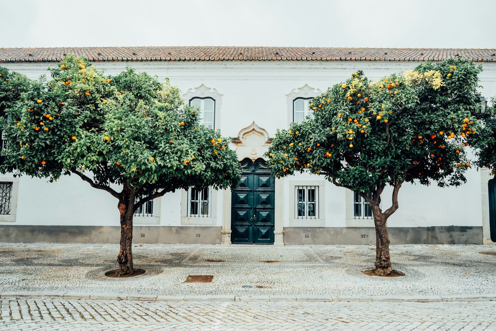 Orange trees against traditional Mediterranean city house building. Traditional urban exterior.