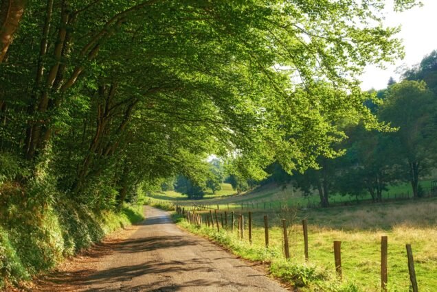 A series of photos of countryside, farmland and forest close to Lyon, France