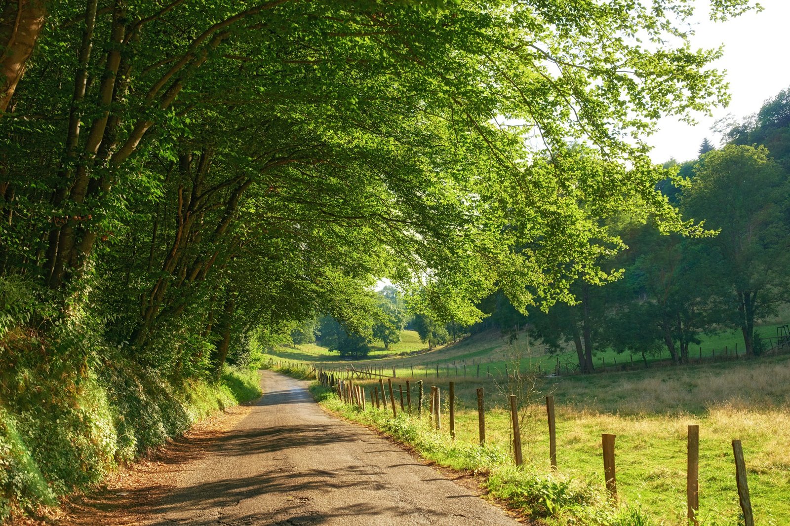 A series of photos of countryside, farmland and forest close to Lyon, France