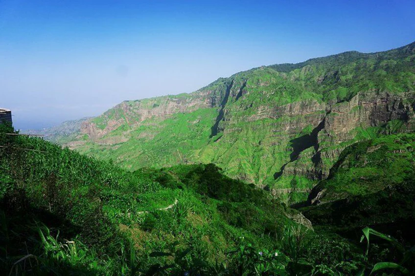 8cc912cf-630e-4782-97ae-2592fb53ed95