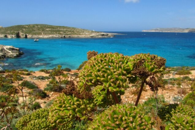 Beautiful Crystal lagoon in Ghajnsielem, Malta