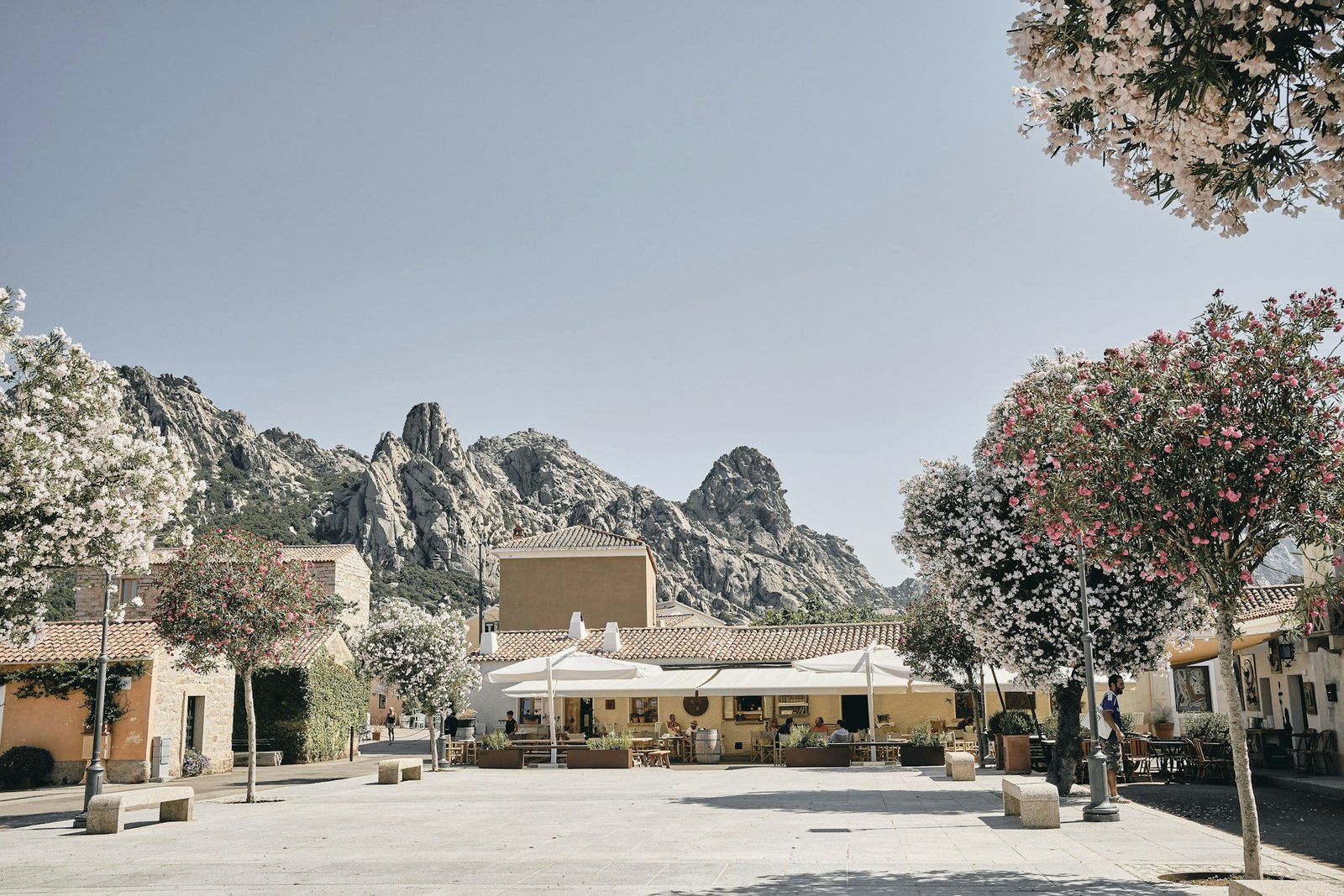 Beautiful shot of buildings and trees in san Pantaleo with mountains and a blue sky in background
