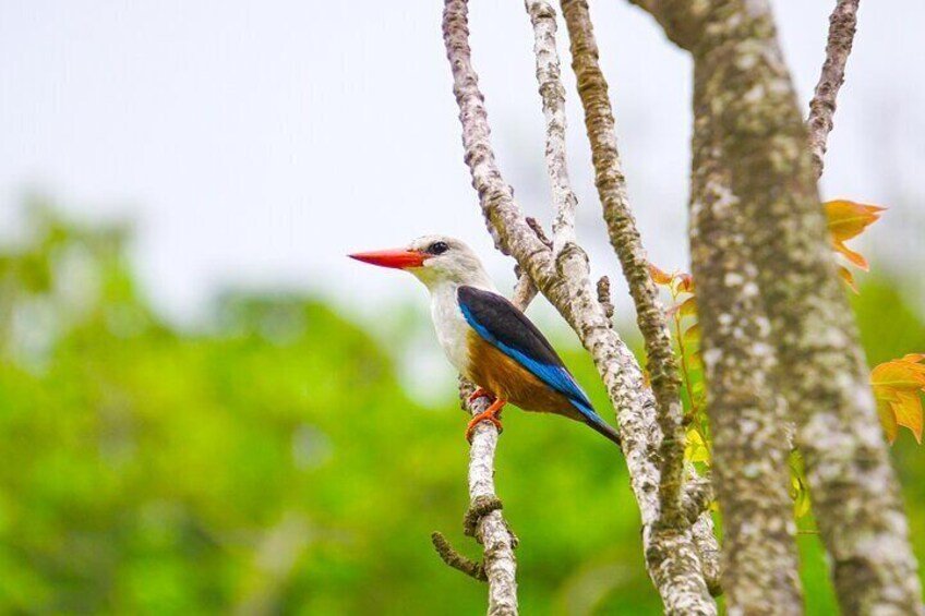 f0650ea8-2dab-4fbc-8fb8-50fdf5de2108