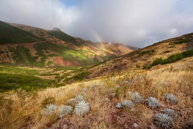 Hike in Madeira