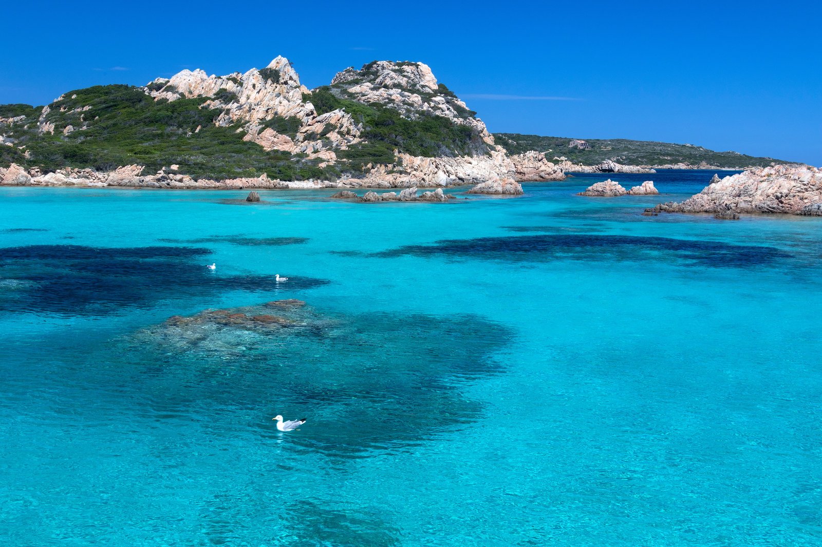 Maddalena Archipelago - Sardinia - Italy