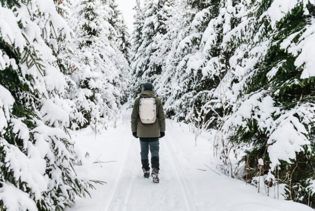 Man with backpack walking on snow covered forest. Beautiful winter time. Back view.