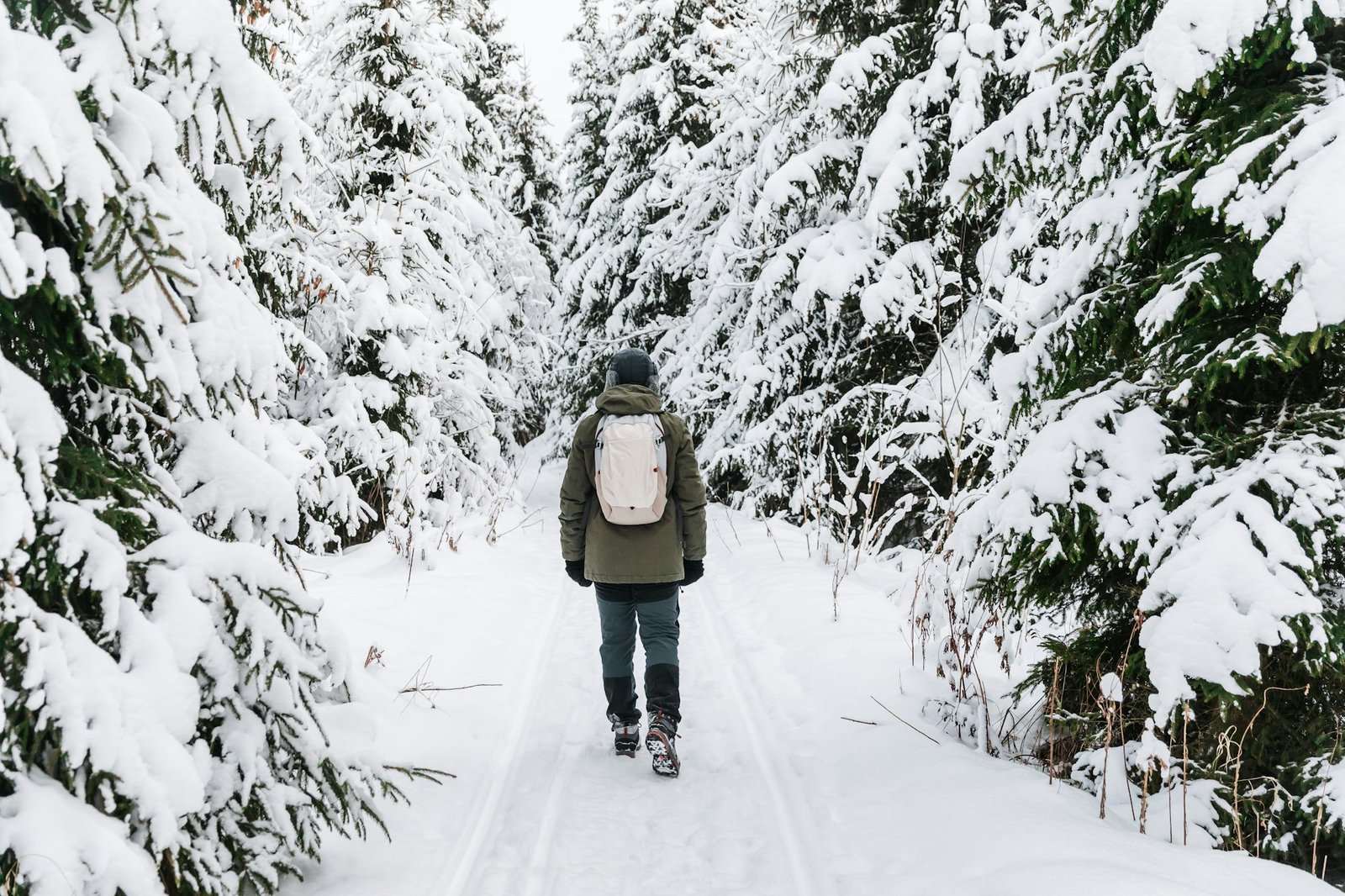 Man with backpack walking on snow covered forest. Beautiful winter time. Back view.