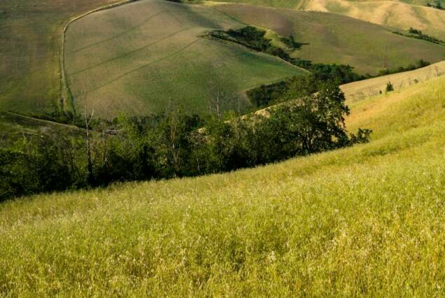 Rural landscape on the hills near Bologna, Emilia-Romagna.