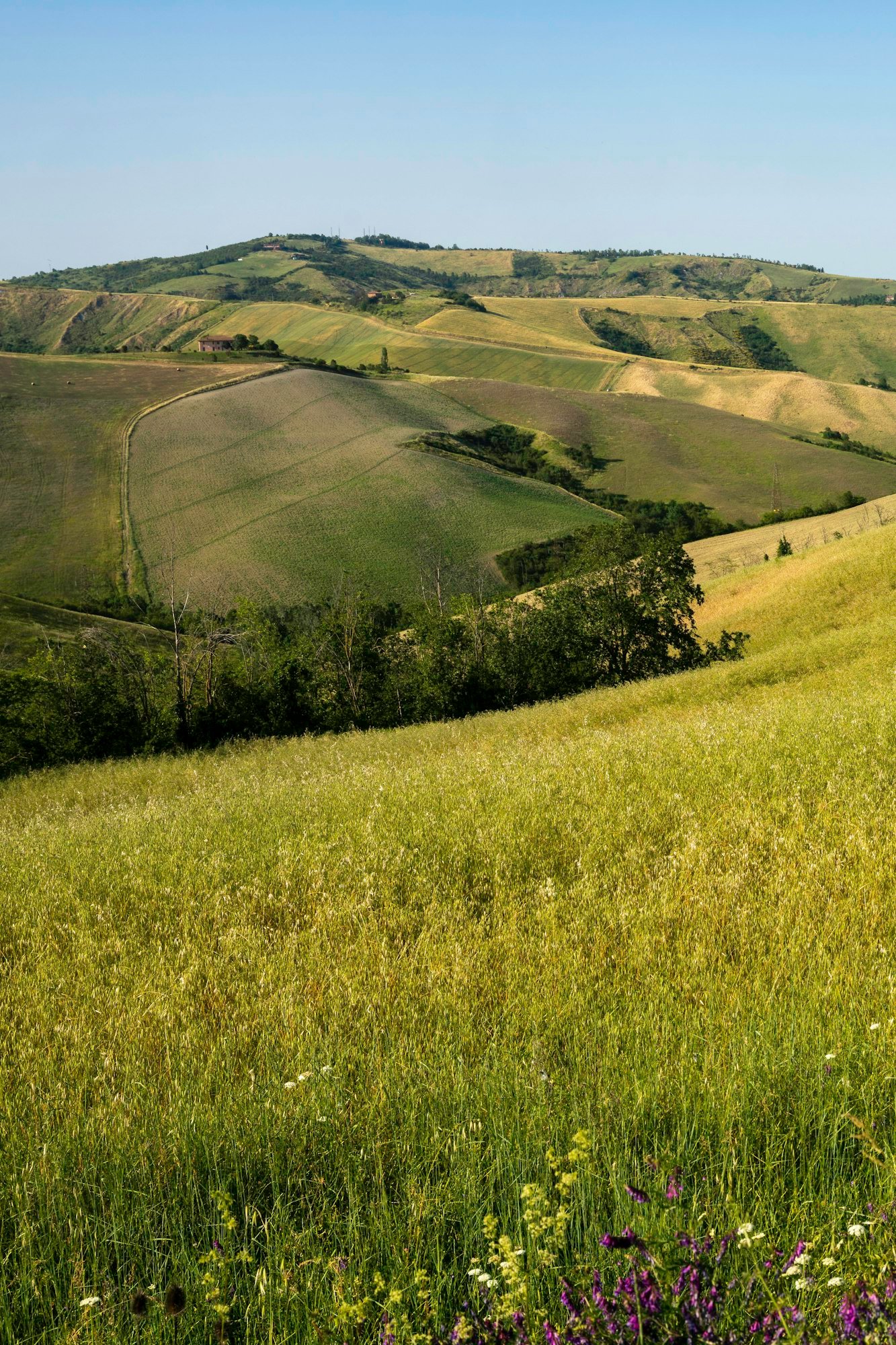 Rural landscape on the hills near Bologna, Emilia-Romagna.