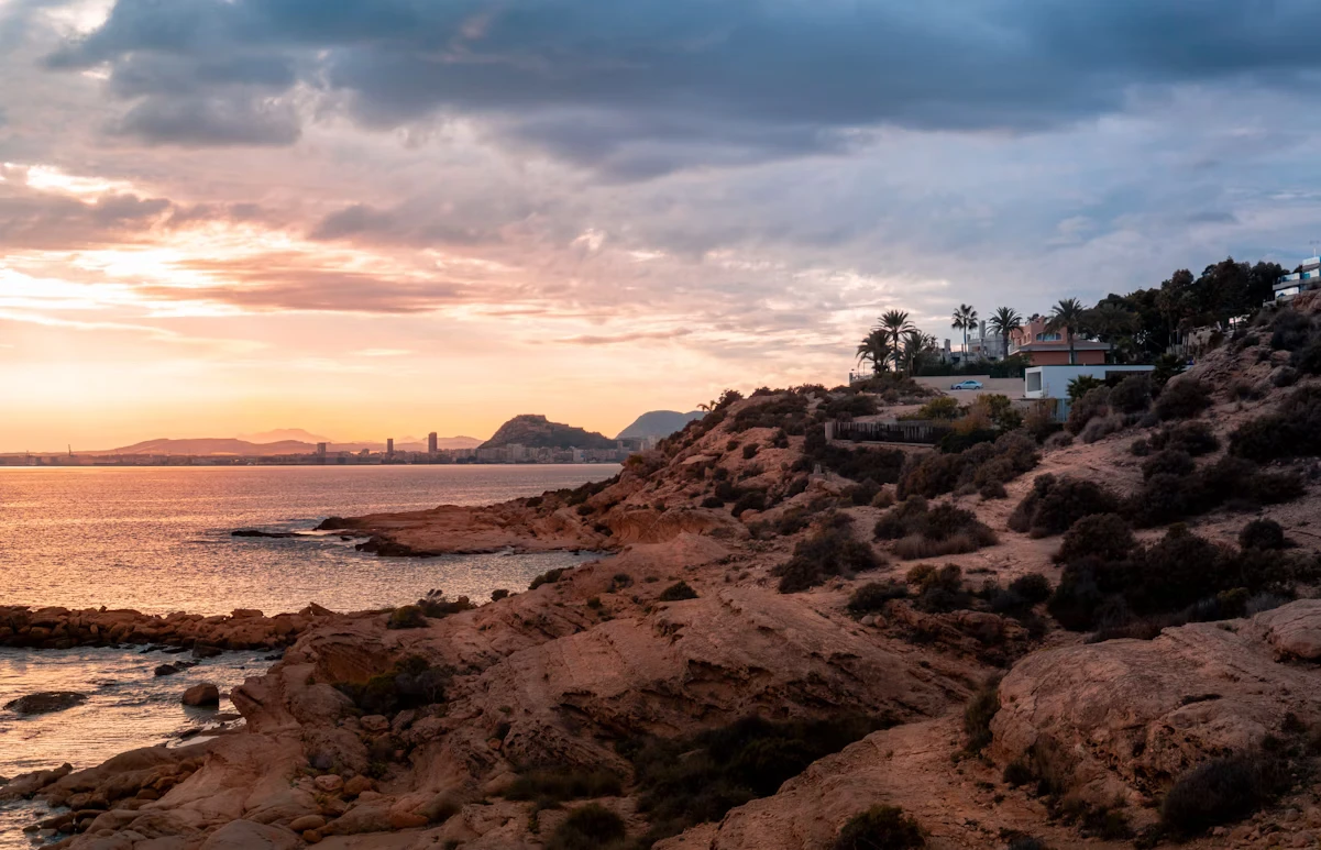 photo-1587410342415-e9a5764cbab7-1