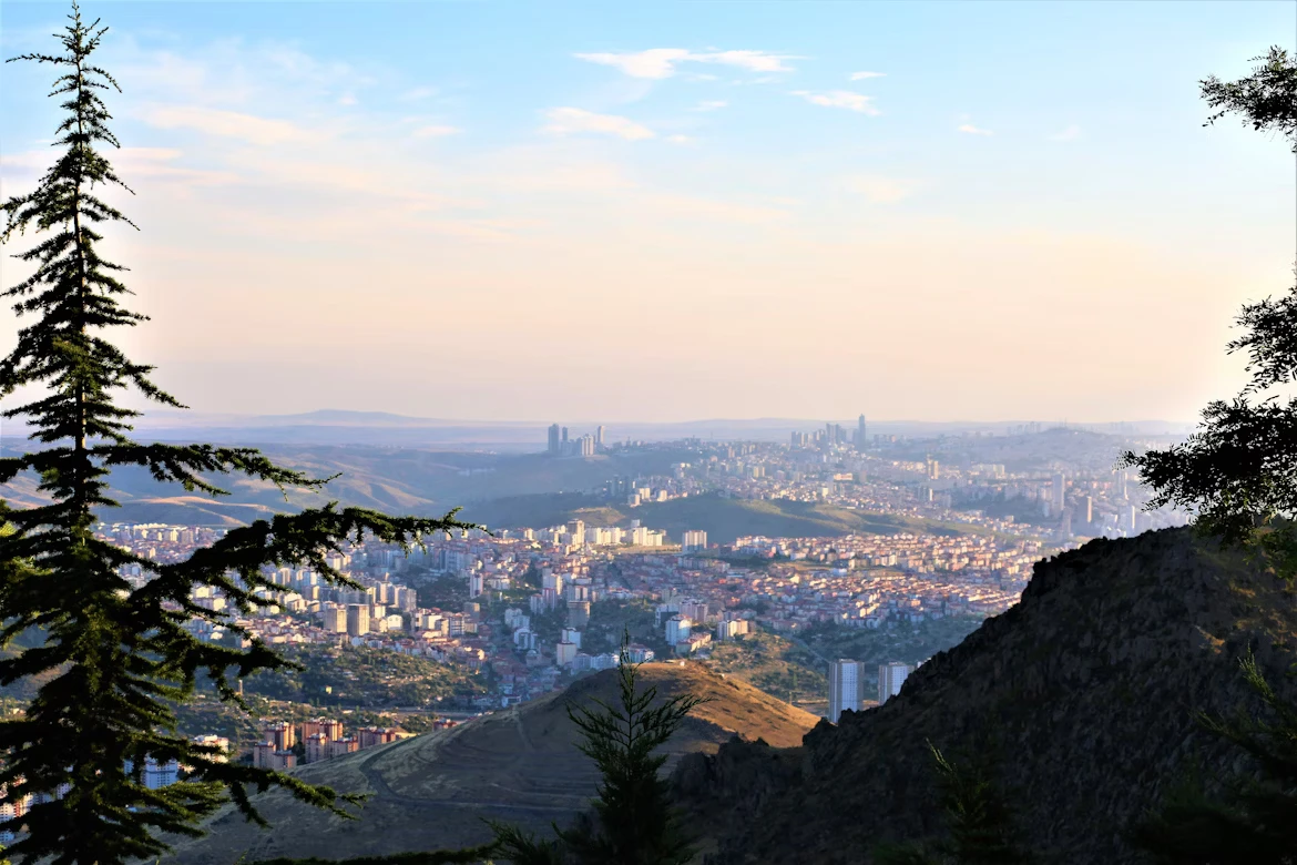 photo-1588271216139-719ac0020dbe