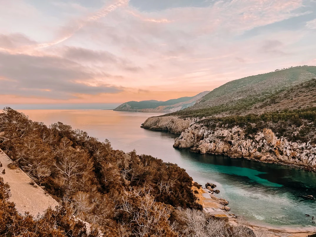 photo-1642445624042-6e874ab1a5ee-1