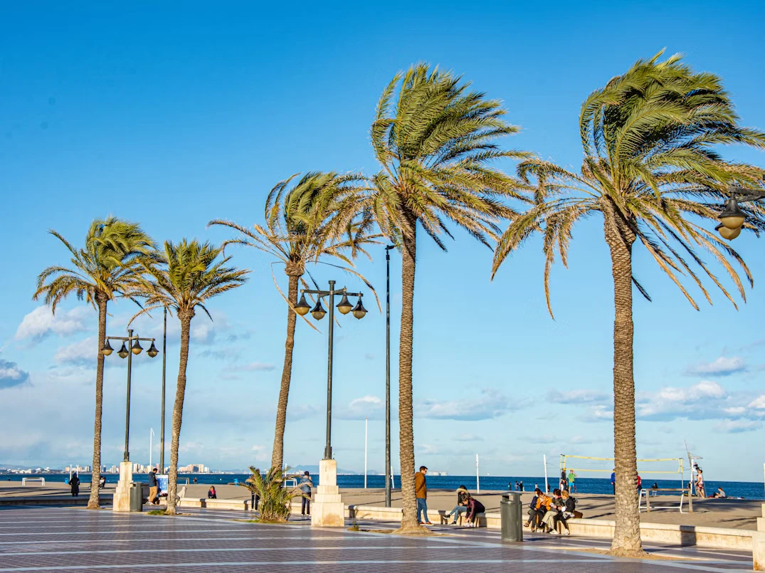 photo-1643315654648-728ab605217b