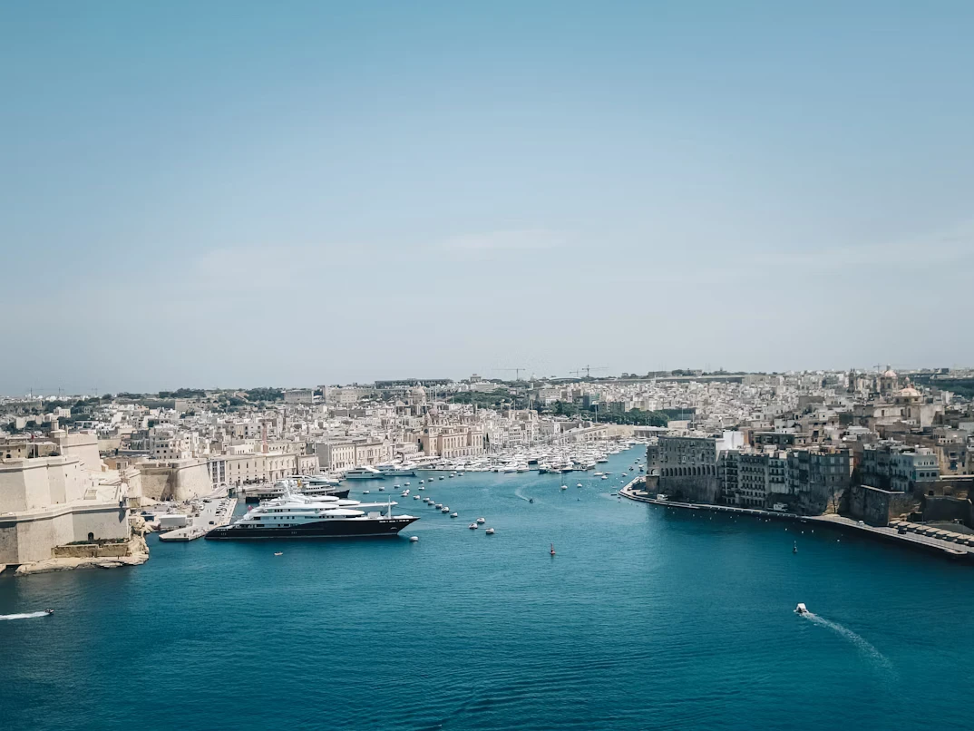 photo-1655224630263-440be4b06dbf