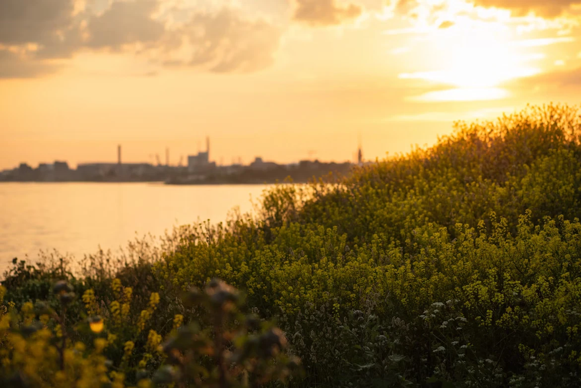 photo-1657200880266-7983d9fa9328