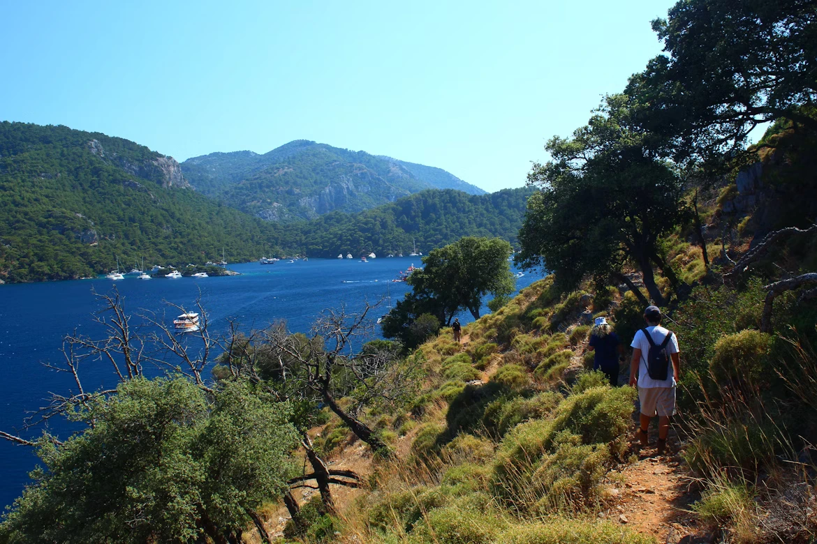 photo-1687719191606-8764bbeb128b-1