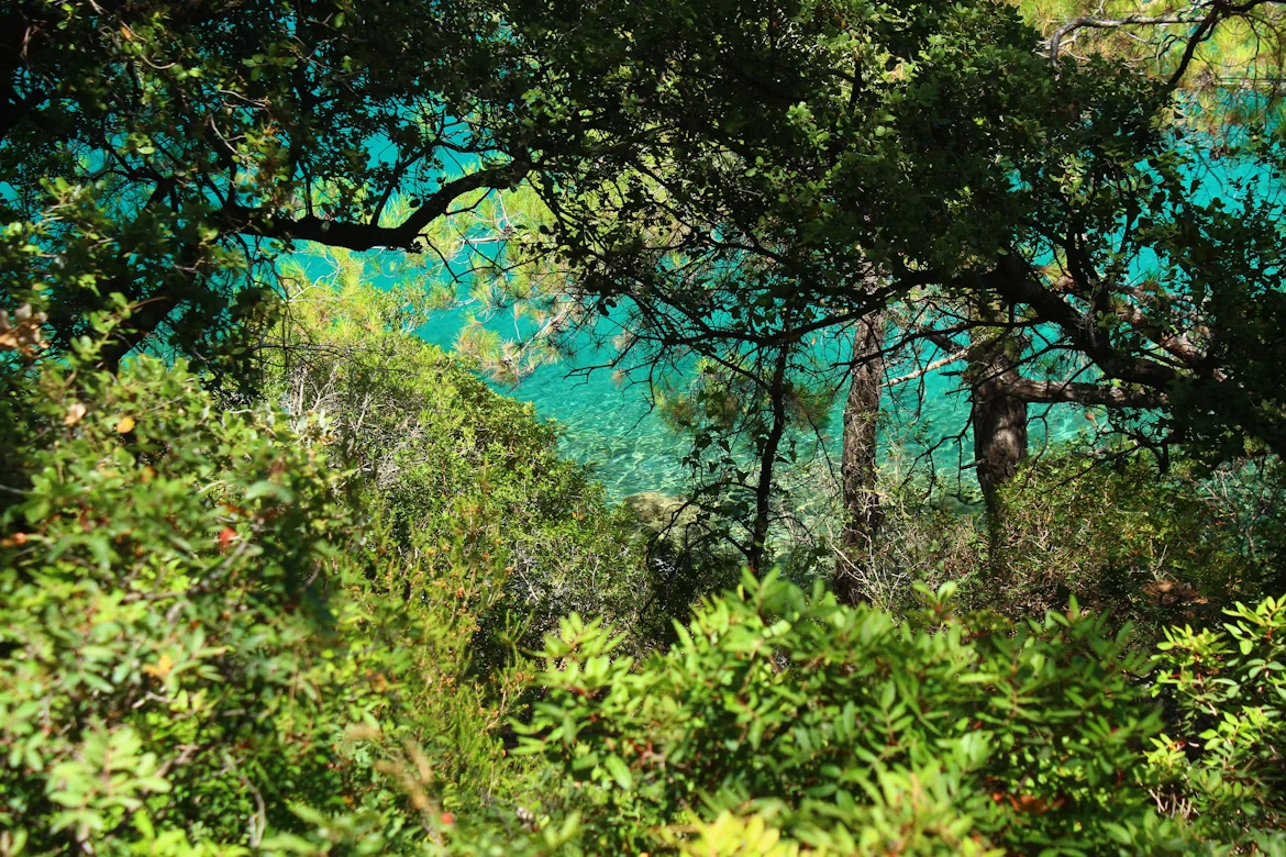 photo-1687719192117-92d522f45a0d