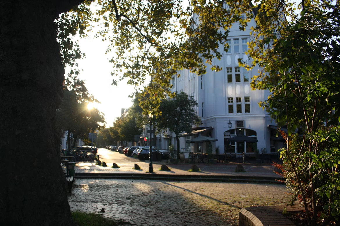 photo-1706905431460-0832ff4c6e8a