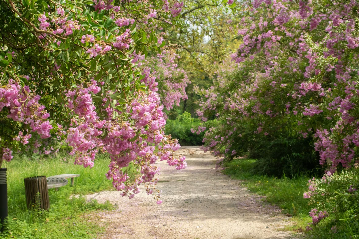 photo-1730662745025-c7e1b48512ad-2