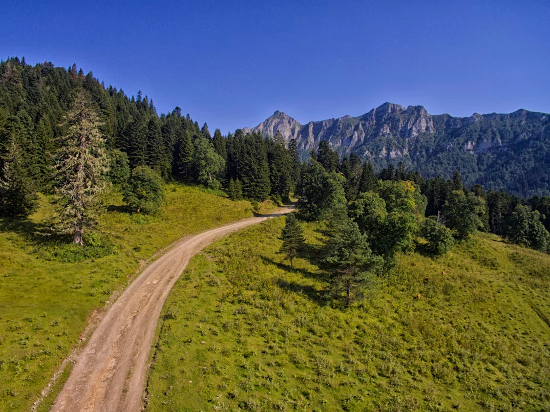 photo-1736075504477-1570851b4dc2