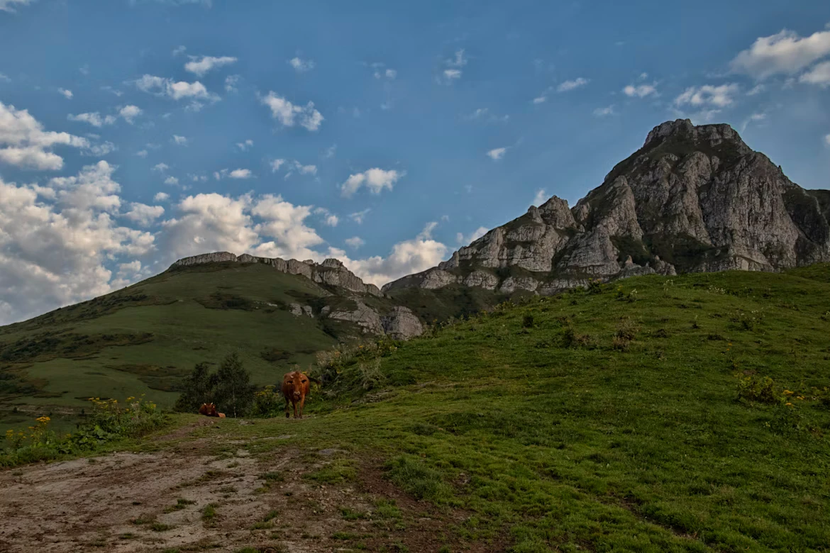 photo-1736075506124-6b1fa3b8fc36