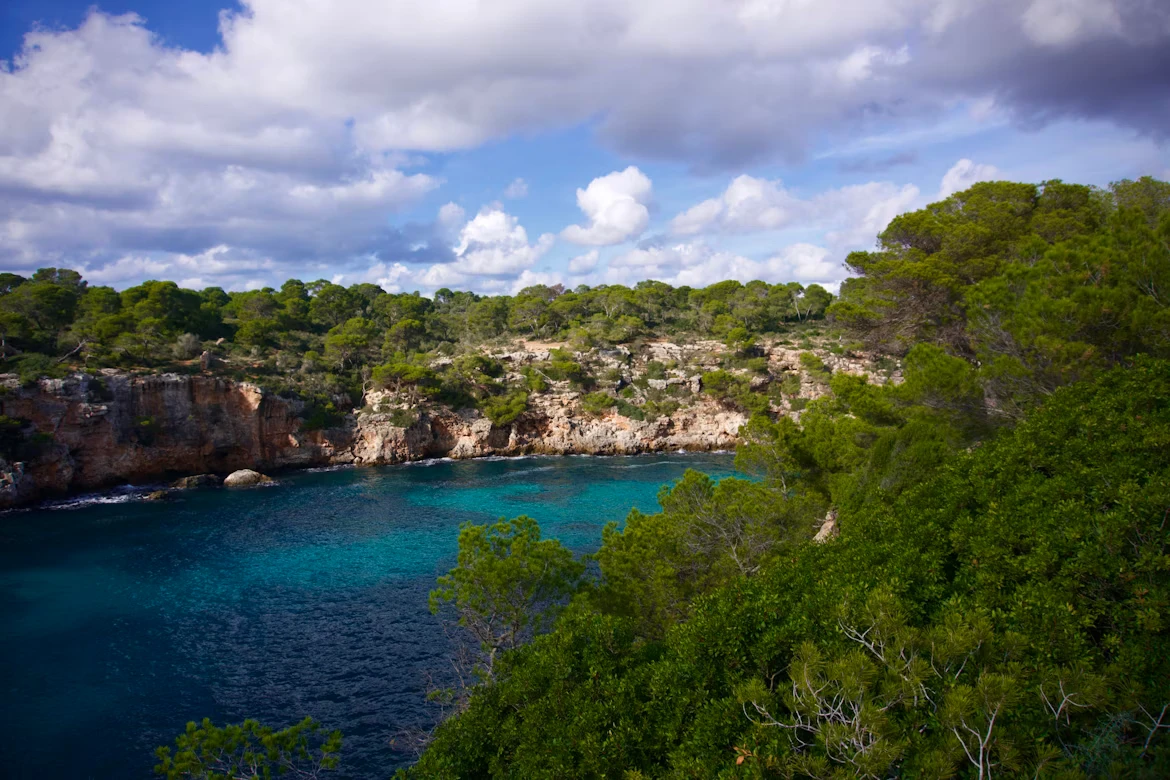 photo-1579551450606-1b2180590522