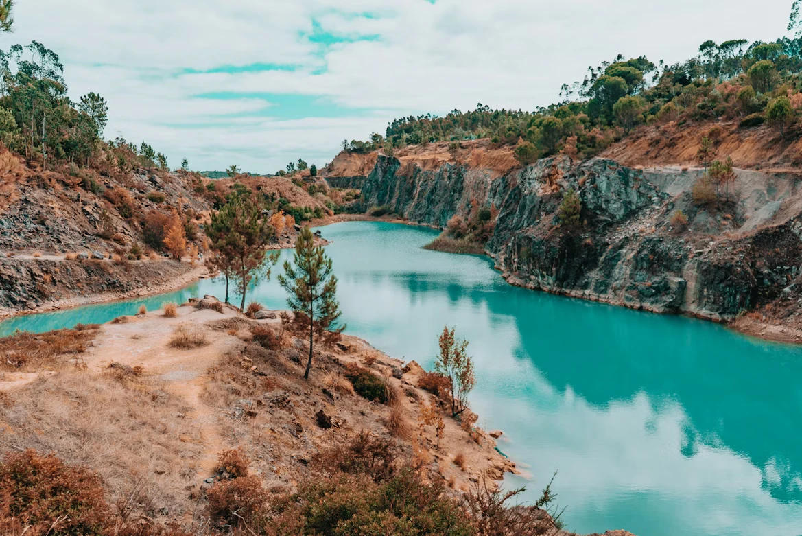 photo-1630275523520-49ae44acae4d