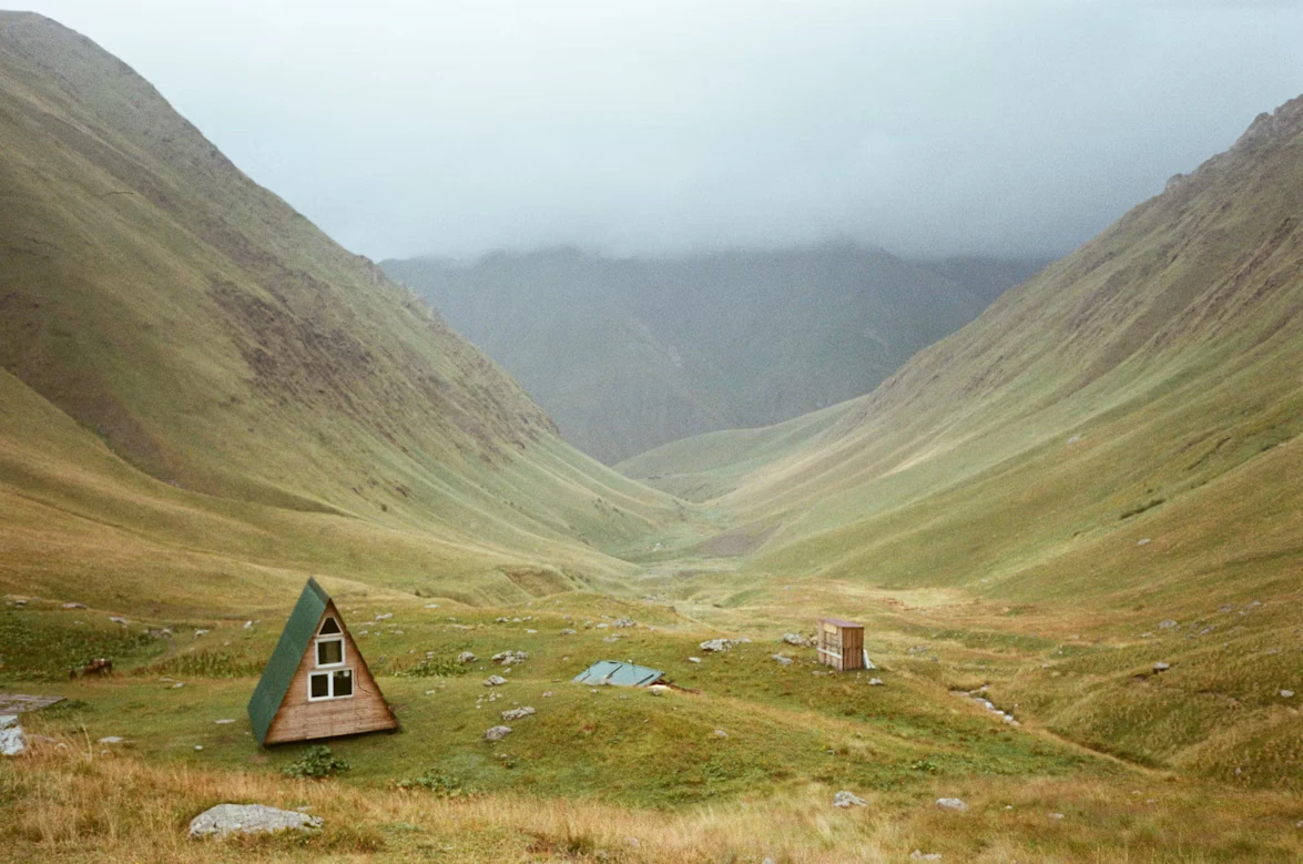 photo-1636230371658-2e9d44ec2a21-1