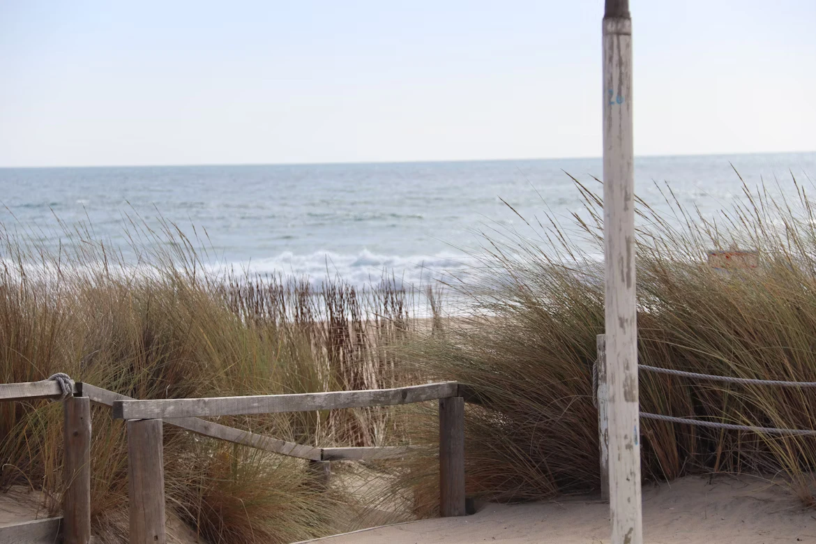 photo-1654931591887-4fbd15d7d85b