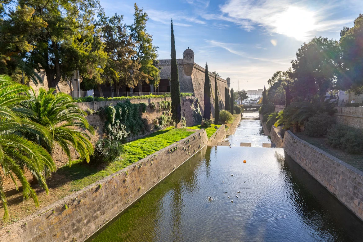 photo-1704530431875-090f57f80268