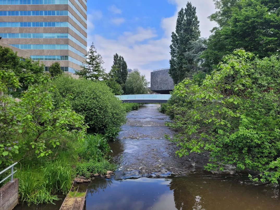 photo-1707001472986-31e2f8e19abf