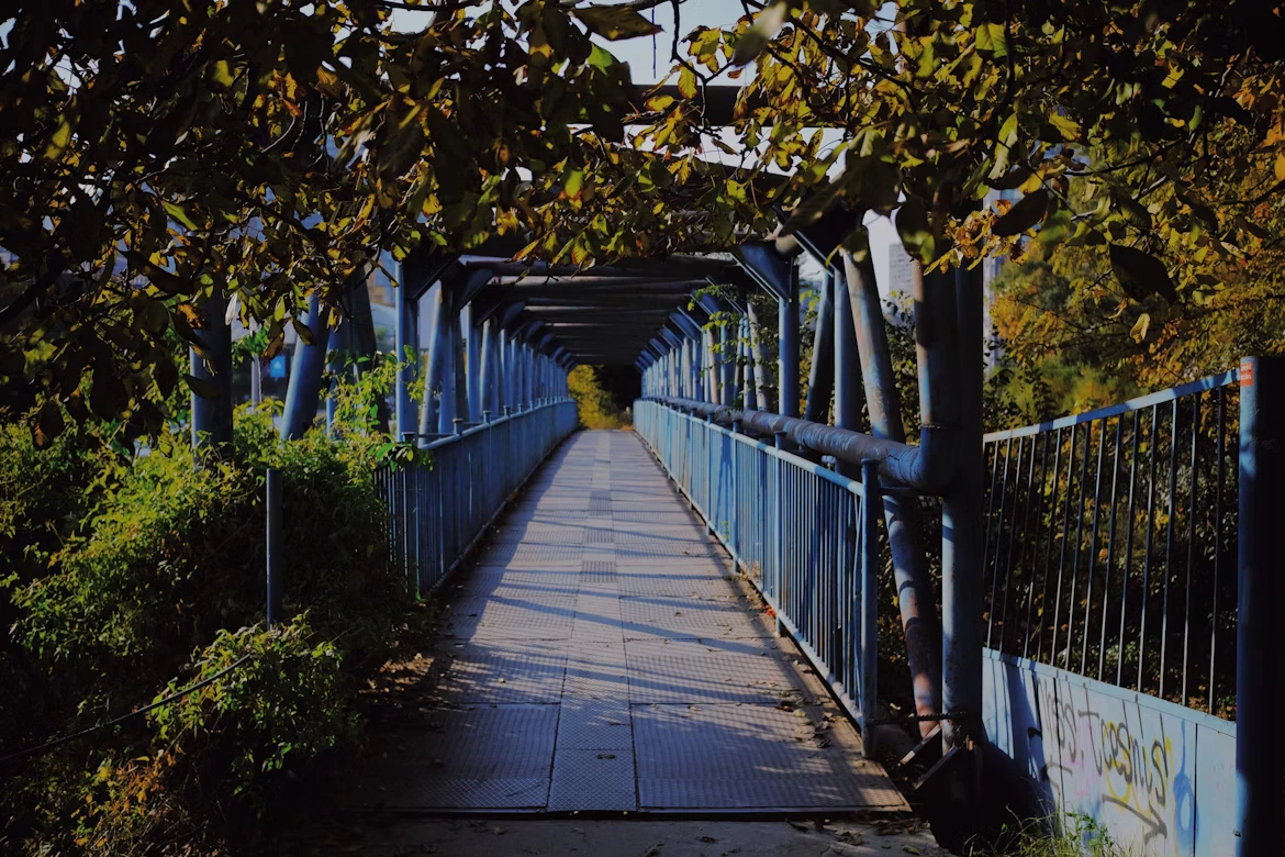 photo-1731758413948-848e08c722d0-1