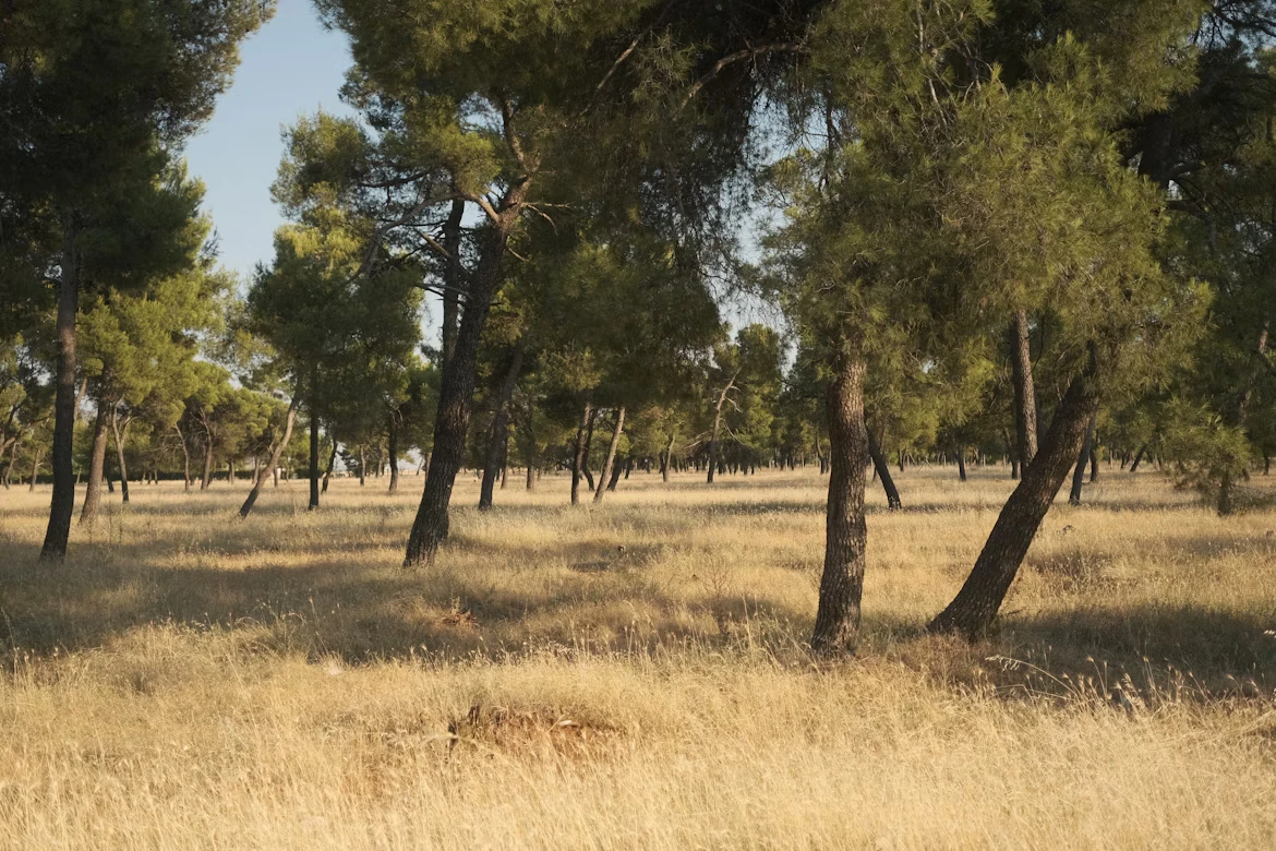 photo-1742211036349-c475ce06fa6c-2