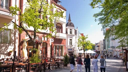 3a2ea18da5b04e248ffb4d9dd6d556ed