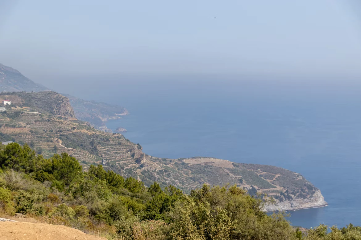 photo-1753188354010-d76f81520ae4