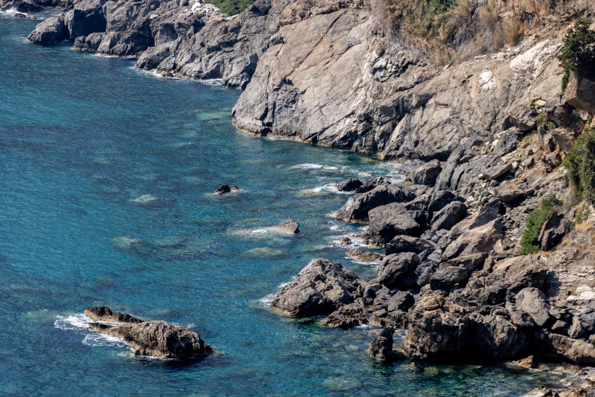 photo-1753188354436-4eebf1f6da07