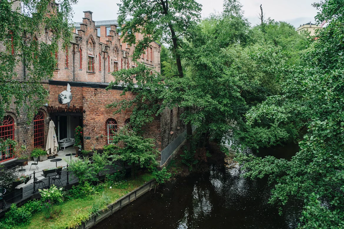 photo-1634985492823-06ce9dc076d1