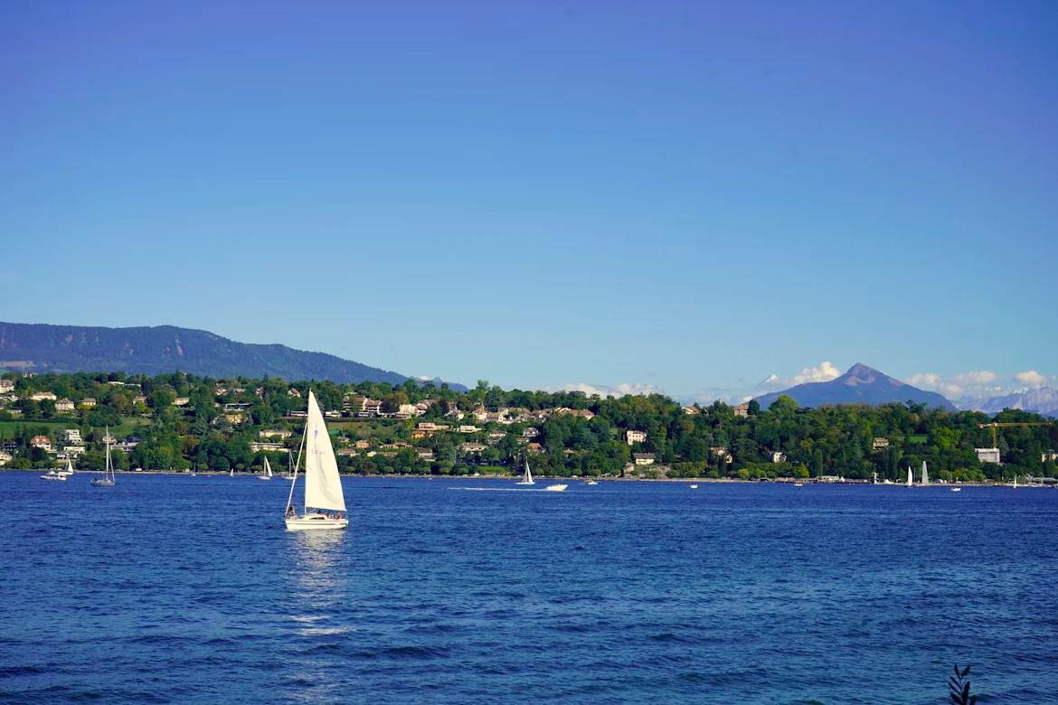 photo-1663789879791-526bf03c1120