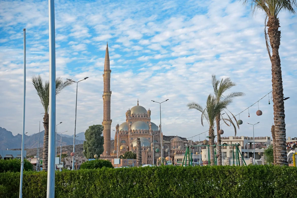 photo-1735310628090-66d5bc3f8ae4-2